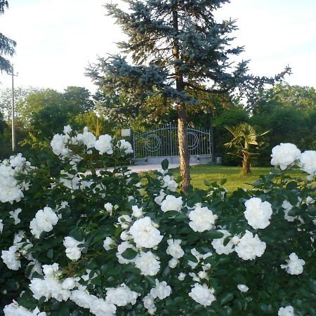 L'Albero Della Gioia Bed and Breakfast Villanova sull'Arda Εξωτερικό φωτογραφία