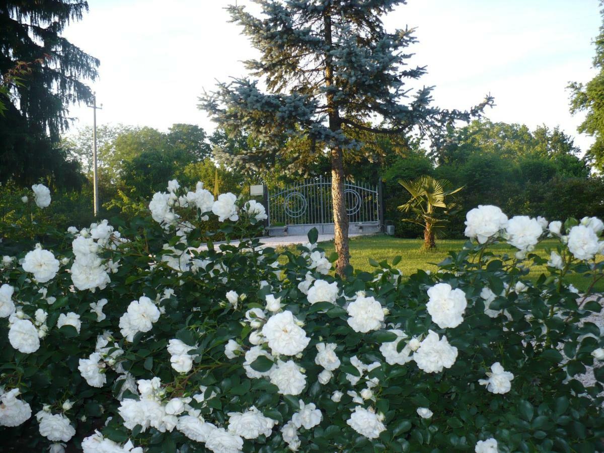 L'Albero Della Gioia Bed and Breakfast Villanova sull'Arda Εξωτερικό φωτογραφία