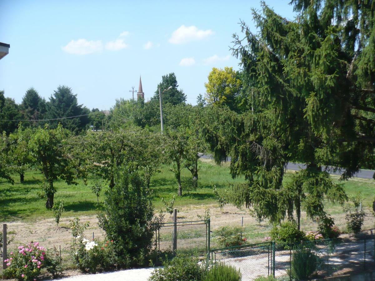 L'Albero Della Gioia Bed and Breakfast Villanova sull'Arda Εξωτερικό φωτογραφία