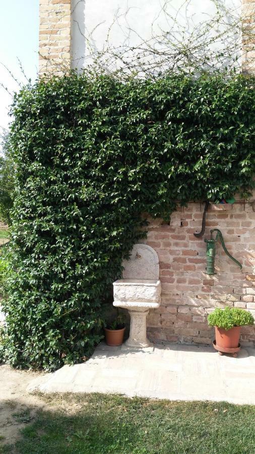 L'Albero Della Gioia Bed and Breakfast Villanova sull'Arda Εξωτερικό φωτογραφία