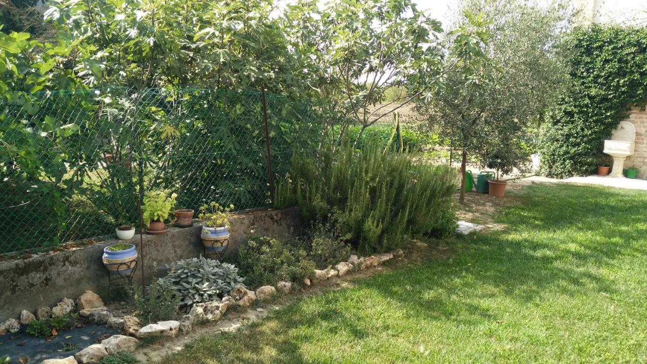 L'Albero Della Gioia Bed and Breakfast Villanova sull'Arda Εξωτερικό φωτογραφία